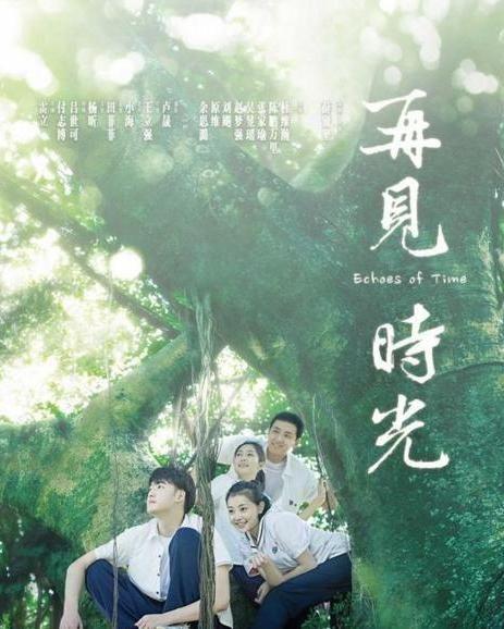 再见时光,回忆与成长的交织之旅