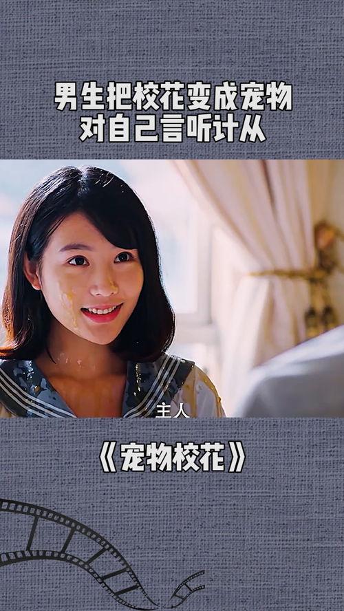 宠物校花,宠物界的明星风采