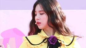 张敬轩·王菀之 演唱会 2017